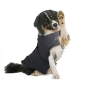 All For Paws - Calm Paws Dog Anti Anxiety Vest - Small