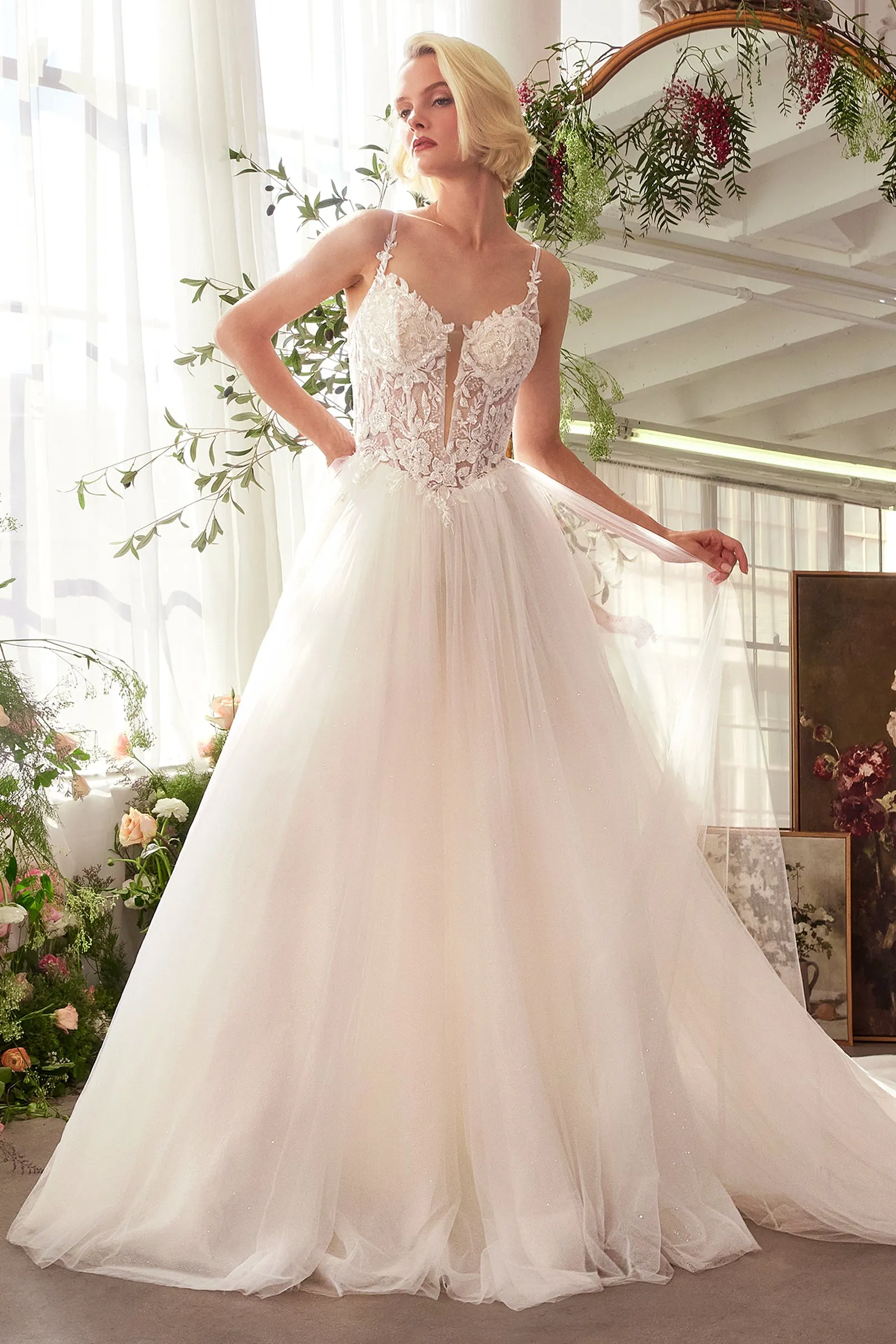 Applique Sleeveless A-line Bridal Gown by Ladivine WL029