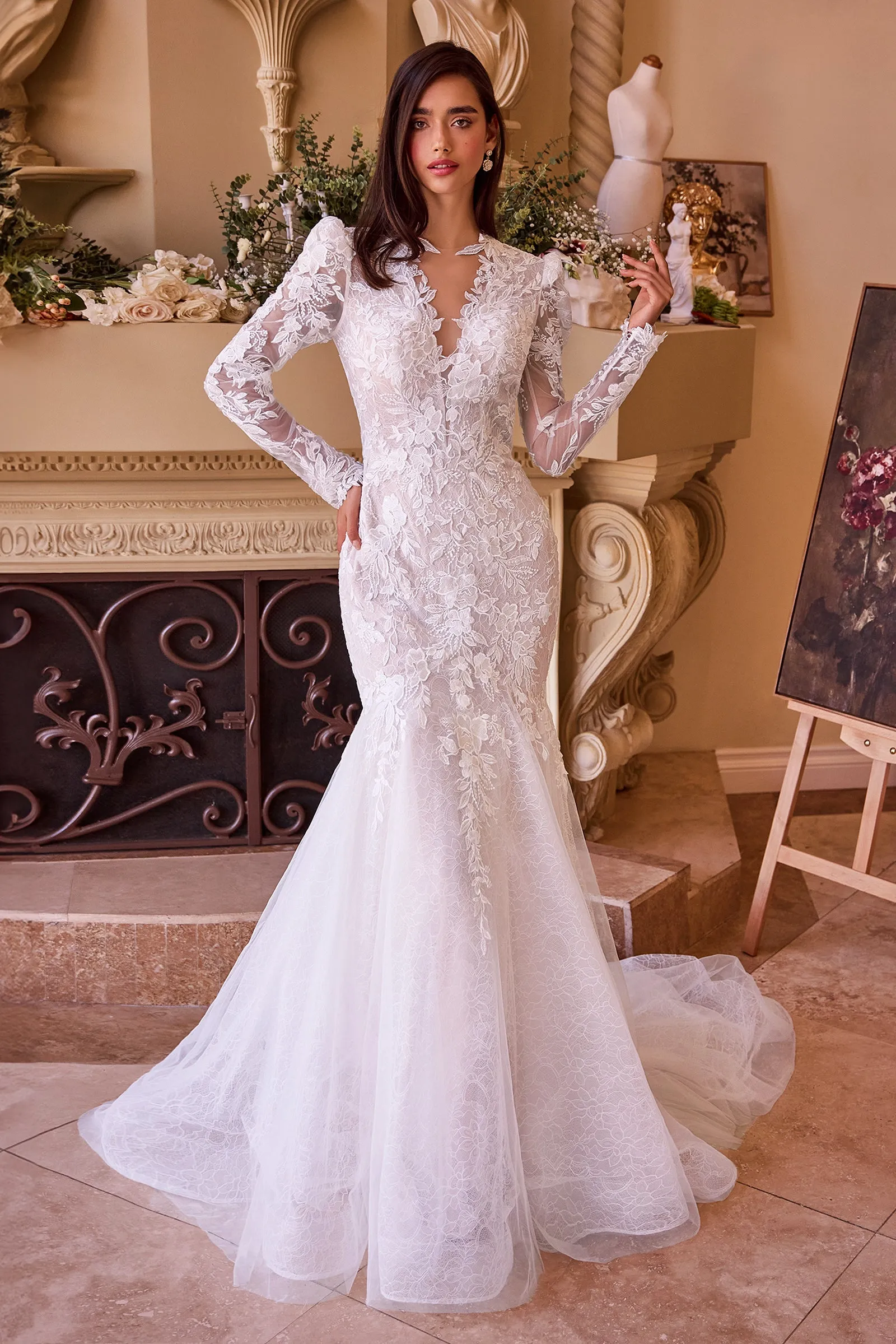 Long Sleeve Mermaid Bridal Gown by Ladivine WL036