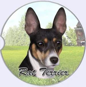 Rat Terrier Car Coaster